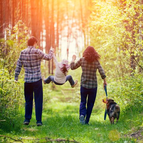 Perhe ja koira kävelyllä kesäisessä metsässä.