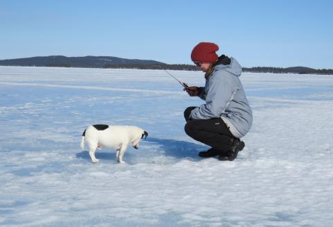 Nainen pilkillä koiran kanssa.