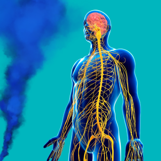 Piirroskuva ihmisen hermostosta, vieressä sinistä höyryä.